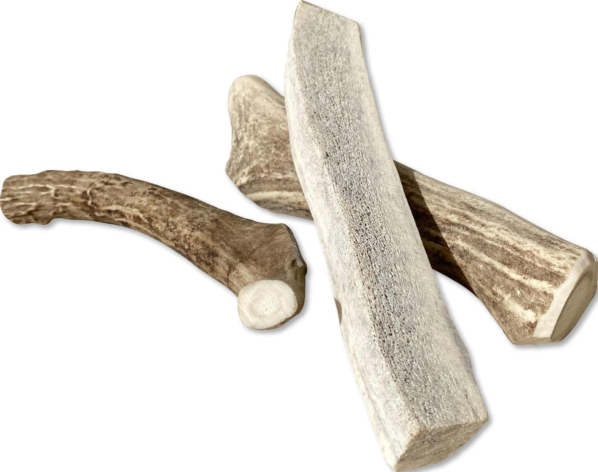 Canine Caviar Venison Antlers