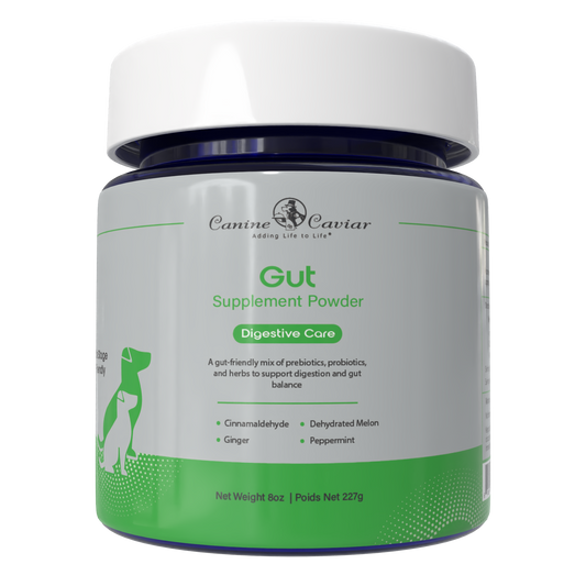 Gut Supplement Powder 8oz