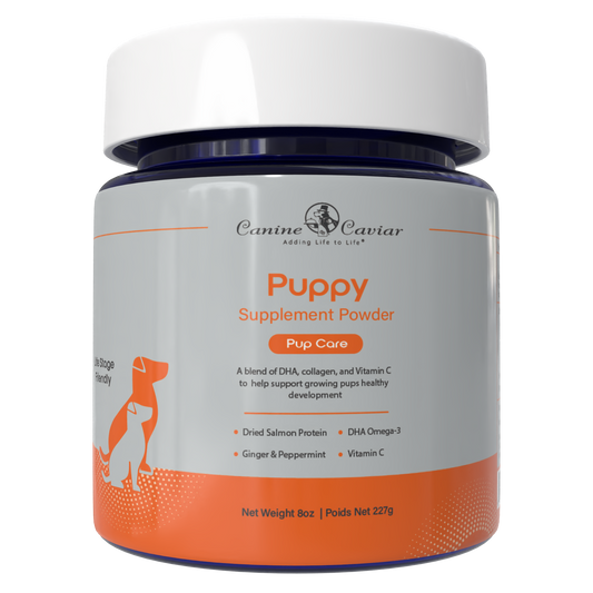Puppy Supplement Powder 8oz