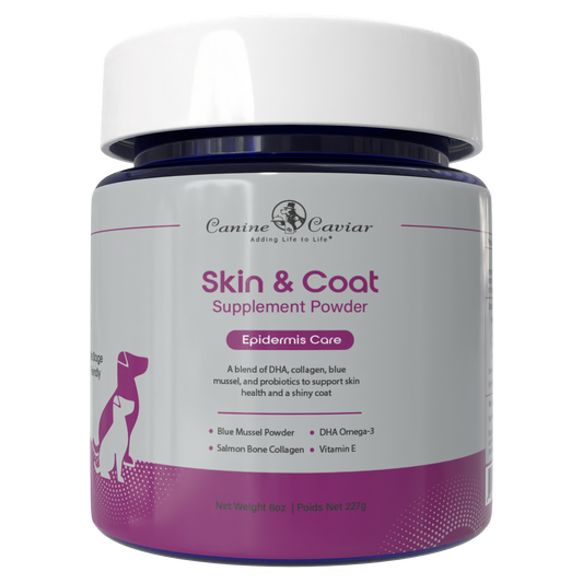 Skin & Coat Supplement Powder 8oz