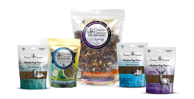 Canine Caviar Synergy