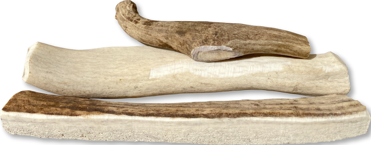 Canine Caviar Venison Antlers