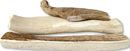 Canine Caviar Venison Antlers