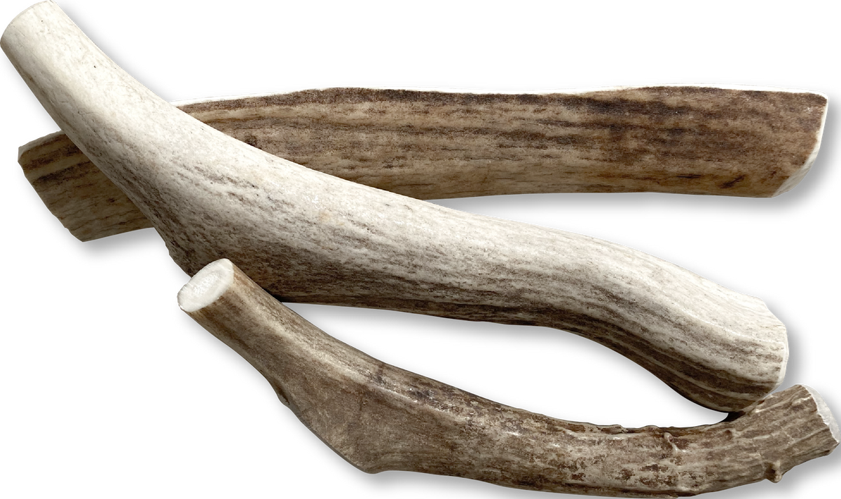Canine Caviar Venison Antlers