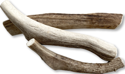 Canine Caviar Venison Antlers