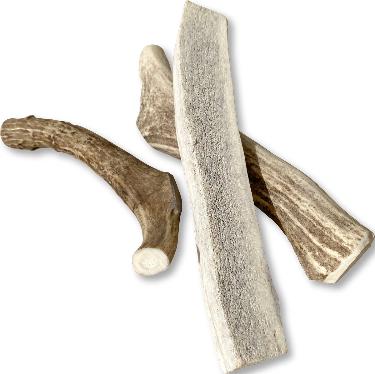 Canine Caviar Venison Antlers
