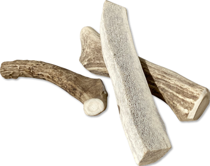 Canine Caviar Venison Antlers